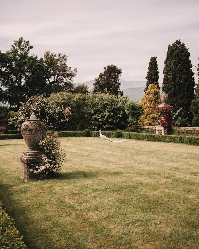 tyson élagage, magnifique jardin après élagage et tonte de la pelouse à saint-brieuc